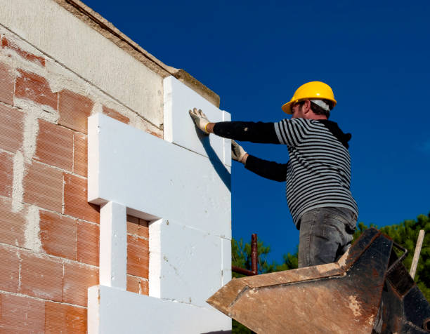 Best DIY Insulation Kits and Guidance in Ely, NV