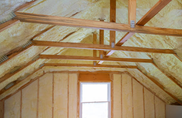 Best Blown-in Insulation in Ely, NV