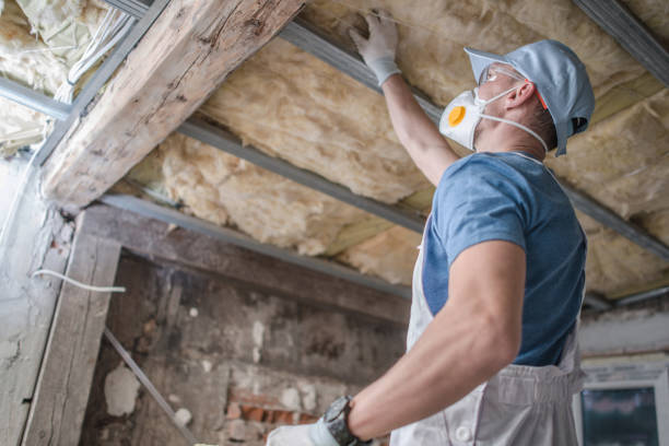 Types of Insulation We Offer in Ely, NV