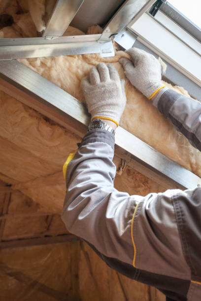 Best Specialized Insulation Services in Ely, NV