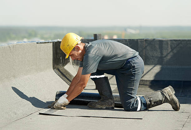 Best Eco-Friendly Insulation in Ely, NV