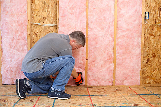 Best Residential Insulation in Ely, NV