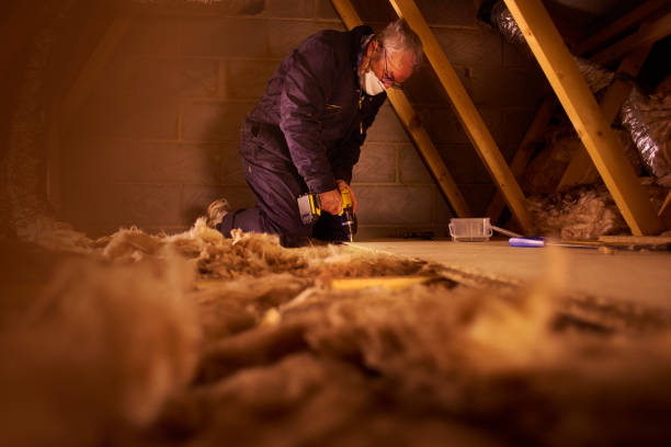 Best Insulation Maintenance and Repair in Ely, NV